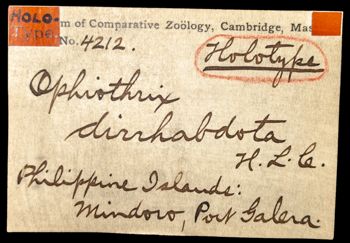 Media type: image; Invertebrate Zoology OPH-4212   Aspect: labels